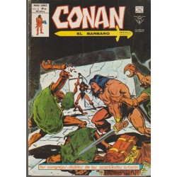 CONAN EL BARBARO ED.VERTICE VOL.2 NUMEROS 20 AL 43 , A FALTA DE LOS NUMEROS 26 Y 28 ( 22 COMICS DE CONAN EL BARBARO )