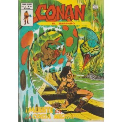 CONAN EL BARBARO ED.VERTICE VOL.2 NUMEROS 20 AL 43 , A FALTA DE LOS NUMEROS 26 Y 28 ( 22 COMICS DE CONAN EL BARBARO )