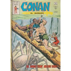 CONAN EL BARBARO ED.VERTICE VOL.2 NUMEROS 20 AL 43 , A FALTA DE LOS NUMEROS 26 Y 28 ( 22 COMICS DE CONAN EL BARBARO )