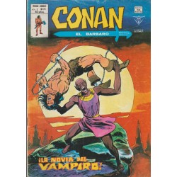 CONAN EL BARBARO ED.VERTICE VOL.2 NUMEROS 20 AL 43 , A FALTA DE LOS NUMEROS 26 Y 28 ( 22 COMICS DE CONAN EL BARBARO )