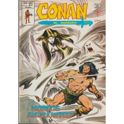 CONAN EL BARBARO ED.VERTICE VOL.2 NUMEROS 20 AL 43 , A FALTA DE LOS NUMEROS 26 Y 28 ( 22 COMICS DE CONAN EL BARBARO )