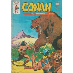 CONAN EL BARBARO ED.VERTICE VOL.2 NUMEROS 20 AL 43 , A FALTA DE LOS NUMEROS 26 Y 28 ( 22 COMICS DE CONAN EL BARBARO )