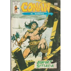 CONAN EL BARBARO ED.VERTICE VOL.2 NUMEROS 20 AL 43 , A FALTA DE LOS NUMEROS 26 Y 28 ( 22 COMICS DE CONAN EL BARBARO )