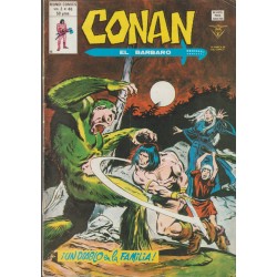 CONAN EL BARBARO ED.VERTICE VOL.2 NUMEROS 20 AL 43 , A FALTA DE LOS NUMEROS 26 Y 28 ( 22 COMICS DE CONAN EL BARBARO )