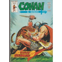 CONAN EL BARBARO ED.VERTICE VOL.2 NUMEROS 20 AL 43 , A FALTA DE LOS NUMEROS 26 Y 28 ( 22 COMICS DE CONAN EL BARBARO )