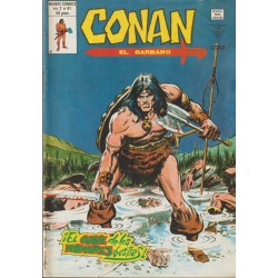 CONAN EL BARBARO ED.VERTICE VOL.2 NUMEROS 20 AL 43 , A FALTA DE LOS NUMEROS 26 Y 28 ( 22 COMICS DE CONAN EL BARBARO )