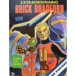 EXTRAORDINARIO BRICK...