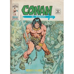 CONAN EL BARBARO VOL.2 ED.VERTICE Nº 13 Y 14 INCIDENTE EN ARGOS Y LOS JINETES DE LOS DRAGONES DEL RIO ( 1ª APARICION DE BELIT EN ESPAÑA )