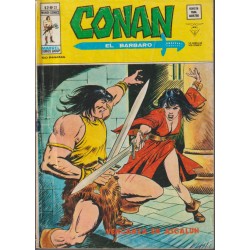 CONAN EL BARBARO VERTICE...