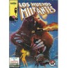 LOS NUEVOS VOL.1 ED.FORUM NUMEROS 1 AL 29