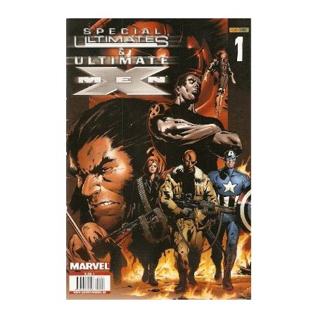 THE ULTIMATES