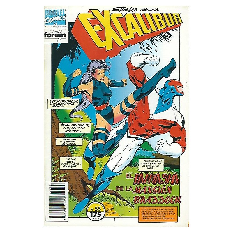 EXCALIBUR VOL.1 n. 42 AL 57 , a falta del nº 54 , 2ª ETAPA DE ALAN DAVIS EN EXCALIBUR