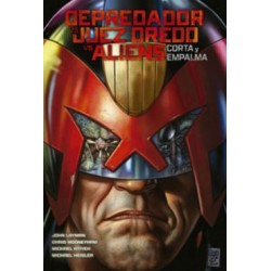 DEPREDADOR VS JUEZ DREDD VS...