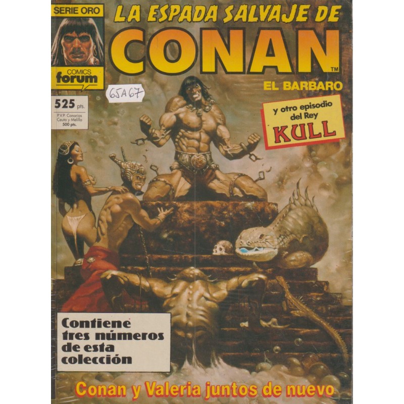 LA ESPADA SALVAJE DE CONAN VOL.1 RETAPADO CON LOS NUMEROS 65 AL 68