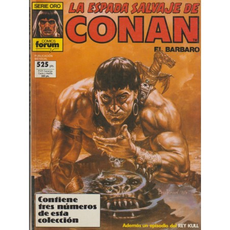 LA ESPADA SALVAJE DE CONAN VOL.1 RETAPADO CON LOS NUMEROS 62 AL 64