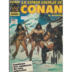 LA ESPADA SALVAJE DE CONAN...