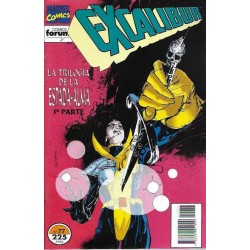 EXCALIBUR VOL.1 COL.COMPLETA Nº AL 80 MAS EXTRA OTOÑO ,LOS 2 PRIMEROS PRESTIGIOS Y EL TOMO EL REGRESO DE FENIX CON EL FINAL DE LA ETAPA DE ALAN DAVIS