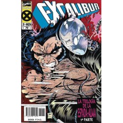 EXCALIBUR VOL.1 COL.COMPLETA Nº AL 80 MAS EXTRA OTOÑO ,LOS 2 PRIMEROS PRESTIGIOS Y EL TOMO EL REGRESO DE FENIX CON EL FINAL DE LA ETAPA DE ALAN DAVIS