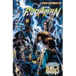 AQUAMAN Nº 1 AL 12 Y 14 ED.ECC