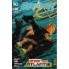 AQUAMAN Nº 1 AL 12 Y 14 ED.ECC