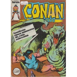 CONAN EL BARBARO VOL.1 Nº 66 AL 95 EN 6 RETAPADOS, CONTIENE LOS NUMEROS USA DE CONAN THE BARBARIAN 1 AL 49 USA