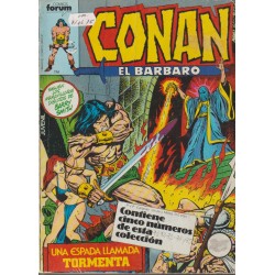 CONAN EL BARBARO VOL.1 Nº 66 AL 95 EN 6 RETAPADOS, CONTIENE LOS NUMEROS USA DE CONAN THE BARBARIAN 1 AL 49 USA