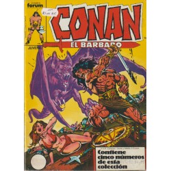 CONAN EL BARBARO VOL.1 Nº 66 AL 95 EN 6 RETAPADOS, CONTIENE LOS NUMEROS USA DE CONAN THE BARBARIAN 1 AL 49 USA