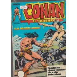 CONAN EL BARBARO VOL.1 Nº 66 AL 95 EN 6 RETAPADOS, CONTIENE LOS NUMEROS USA DE CONAN THE BARBARIAN 1 AL 49 USA