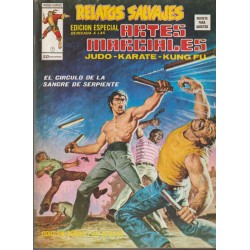 RELATOS SALVAJES ED.VERTICE EDICION ESPECIAL DEDICADA A LAS ARTES MARCIALES VOL.1 NUMEROS 1 AL 10 , EXCELENTE ESTADO