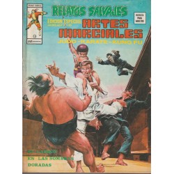 RELATOS SALVAJES ED.VERTICE EDICION ESPECIAL DEDICADA A LAS ARTES MARCIALES VOL.1 NUMEROS 1 AL 10 , EXCELENTE ESTADO