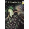 SANDMAN COL.COMPLETA 19 COMIC-BOOKS. 1ª EDICION ESPAÑOLA