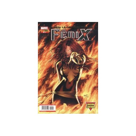 X MEN: LA CANCION FINAL DE FENIX Nº 1 A 3 DE 5