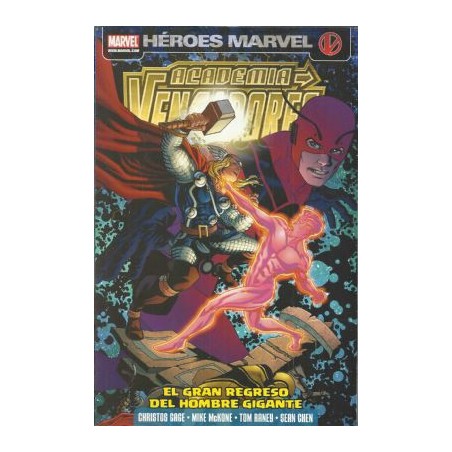 LOS VENGADORES PANINI DISPONIBLES