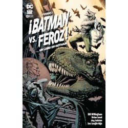 proyecto BATMAN VS.FEROZ UN...