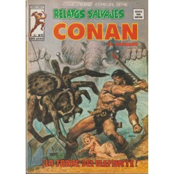 RELATOS SALVAJES CONAN LOTE DE 17 COMICS