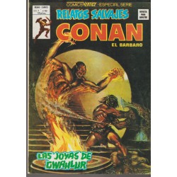 RELATOS SALVAJES CONAN LOTE DE 17 COMICS