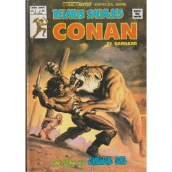 RELATOS SALVAJES CONAN LOTE DE 17 COMICS