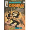 RELATOS SALVAJES CONAN LOTE DE 17 COMICS