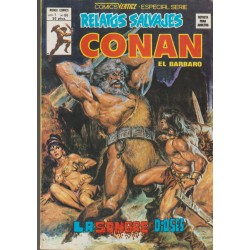 RELATOS SALVAJES CONAN LOTE DE 17 COMICS