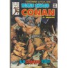 RELATOS SALVAJES CONAN LOTE DE 17 COMICS