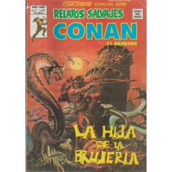 RELATOS SALVAJES CONAN LOTE DE 17 COMICS