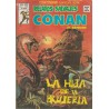 RELATOS SALVAJES CONAN LOTE DE 17 COMICS