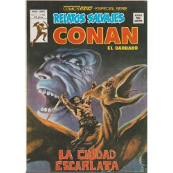 RELATOS SALVAJES CONAN LOTE DE 17 COMICS