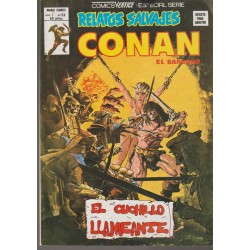 RELATOS SALVAJES CONAN LOTE DE 17 COMICS