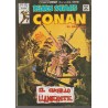 RELATOS SALVAJES CONAN LOTE DE 17 COMICS