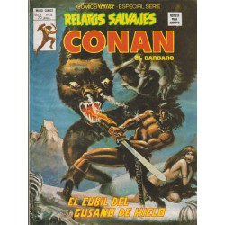 RELATOS SALVAJES CONAN LOTE DE 17 COMICS