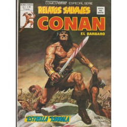 RELATOS SALVAJES CONAN LOTE DE 17 COMICS