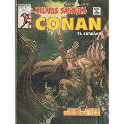 RELATOS SALVAJES CONAN LOTE DE 17 COMICS