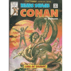 RELATOS SALVAJES CONAN LOTE DE 17 COMICS