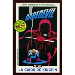 DAREDEVIL GRANDES SAGAS...